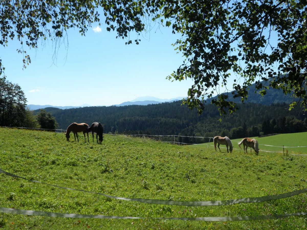 Urlaub Am Haberlehof Appartement Gurk Buitenkant foto